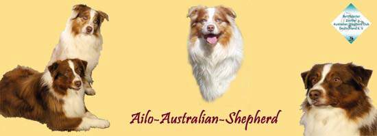 www.ailo-australian-shepherd.homepage.t-online.de